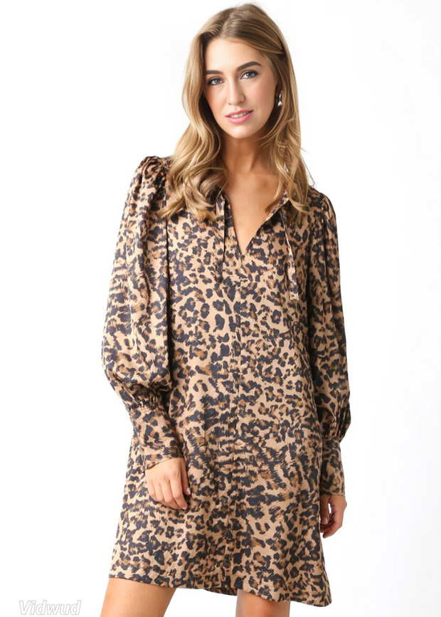 DECISIONS TO MAKE LEOPARD PRINT DRESS